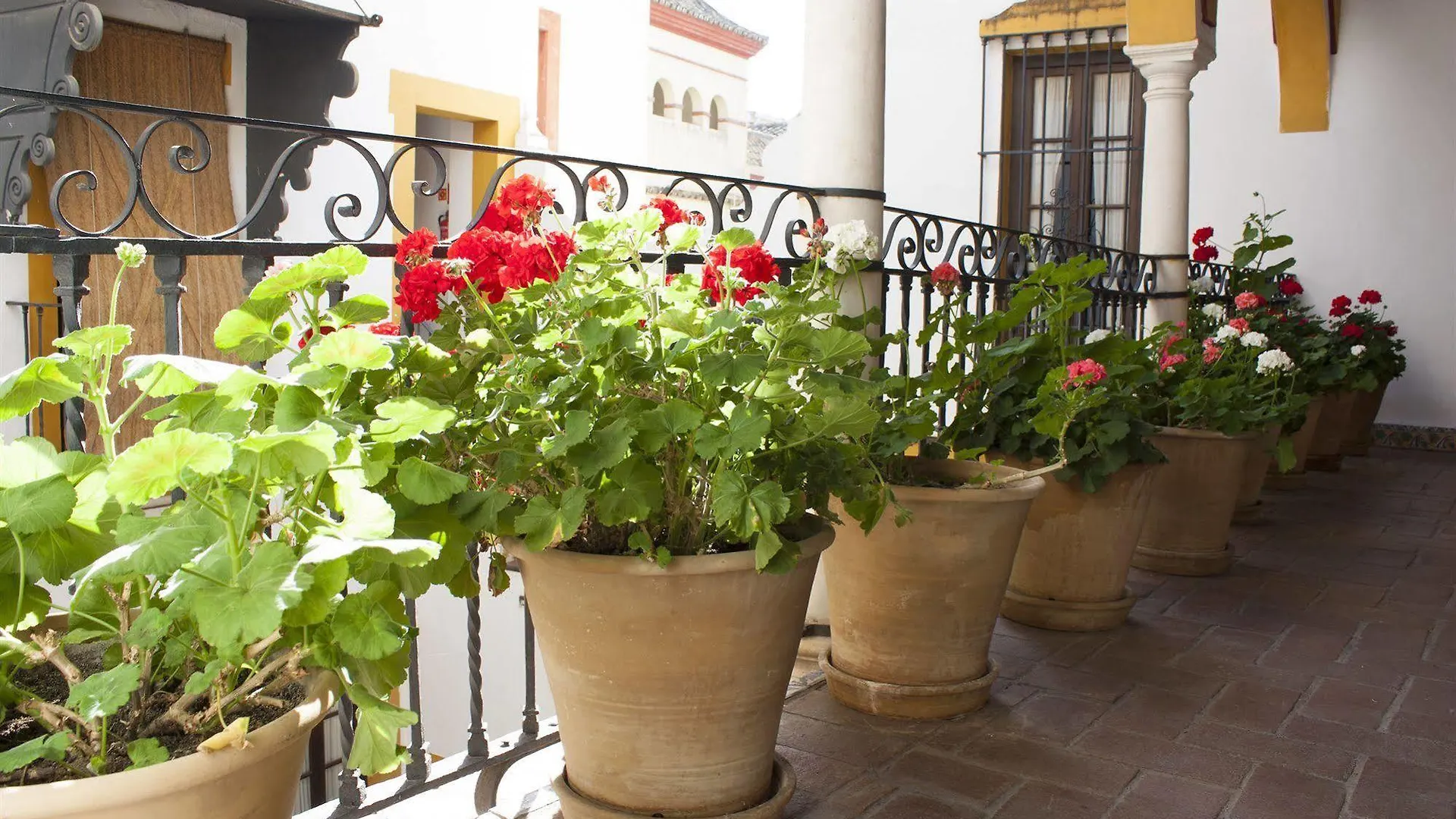 Hotel Casa Imperial Sevilla
